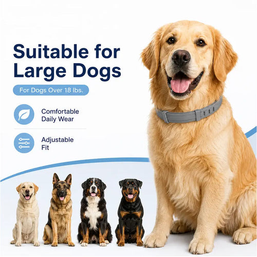 Tick and flea protection collar