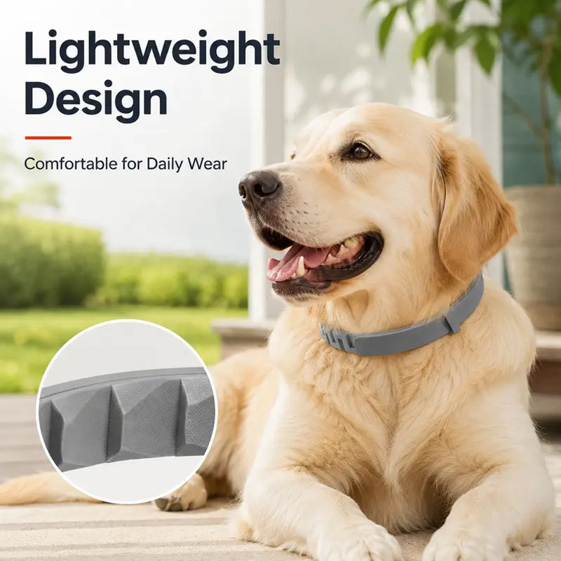 Tick and flea protection collar