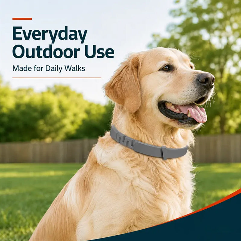 Tick and flea protection collar