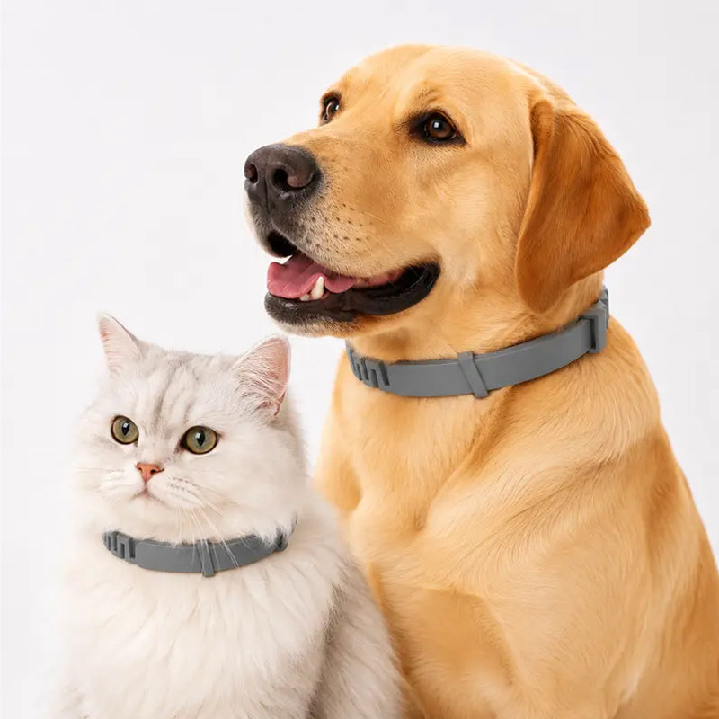 Tick and flea protection collar