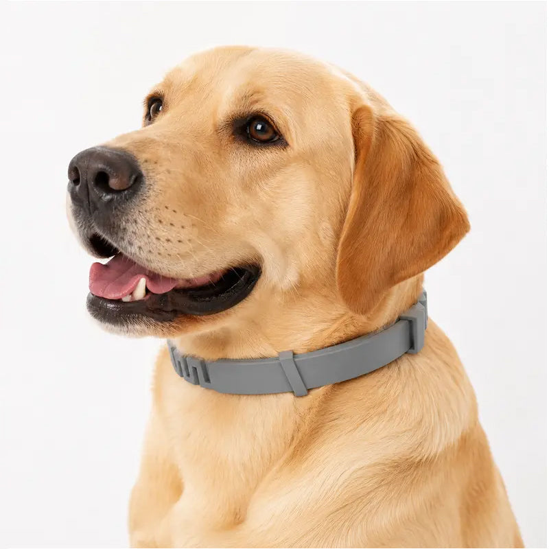 Tick and flea protection collar